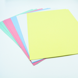 Funda de Cartulina Bristol...