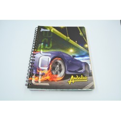 Universitario 100h 2 líneas 