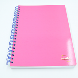 Universitario 200h mixto